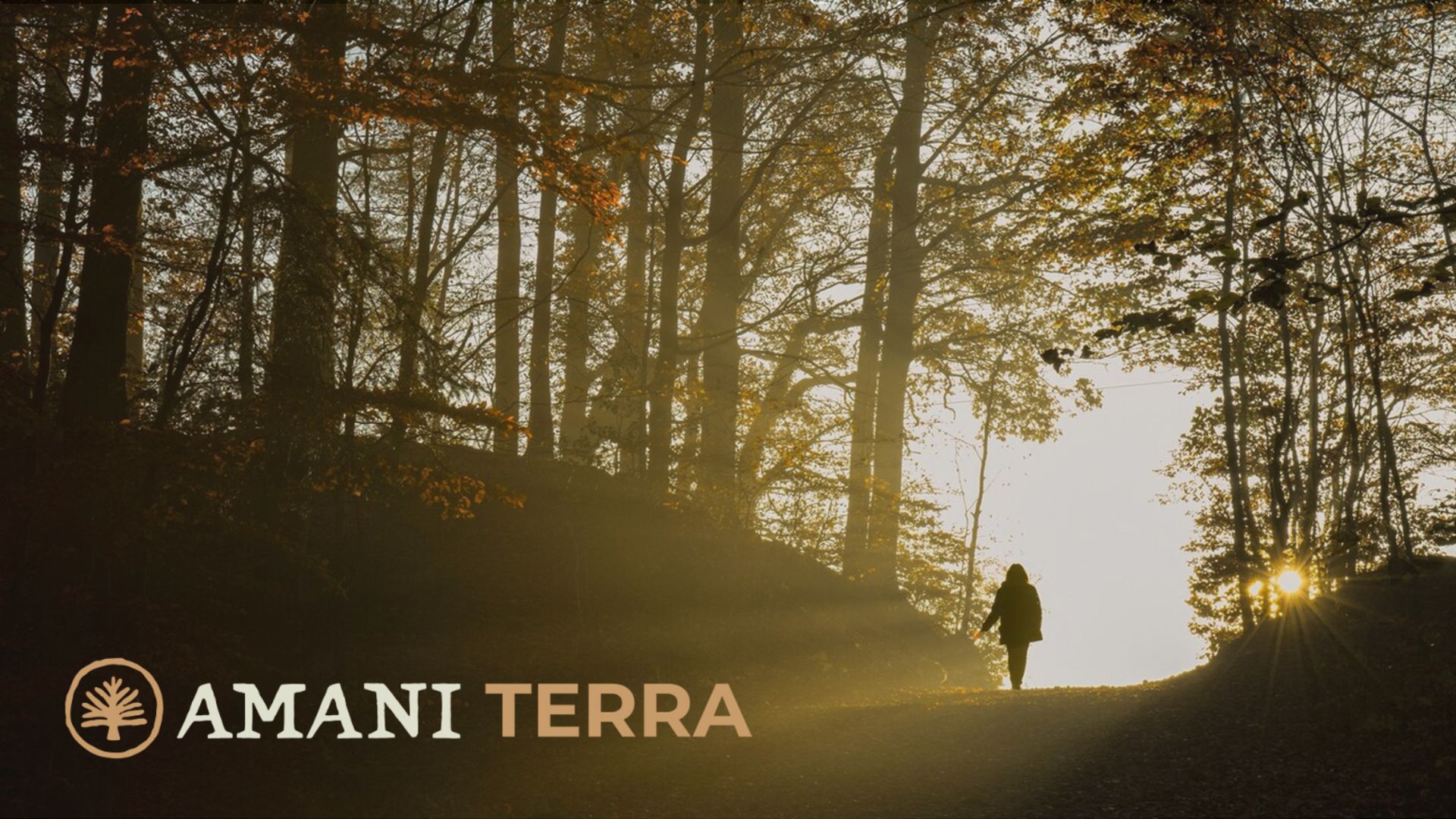 Amani Terra